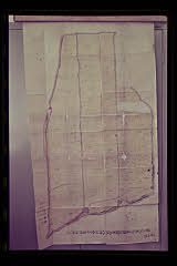 tanSF.D02-05_08()