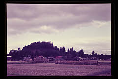 tanSF.D02-05_14()