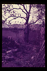 tanSF.D02-05_21()