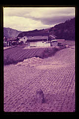 tanSF.D02-05_22()