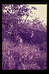 tanSF.D02-05_27()