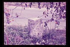 tanSF.D02-05_28()