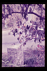 tanSF.D02-05_29()