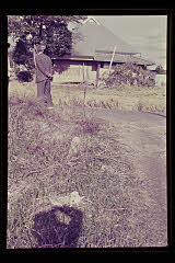 tanSF.D02-05_31()