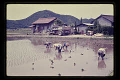 tanSF.D02-06_22()