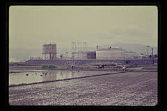 tanSF.D02-06_29()