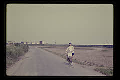 tanSF.D02-06_31()