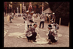 tanSF.D02-09_12()
