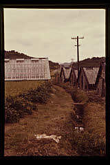 tanSF.D02-09_29()
