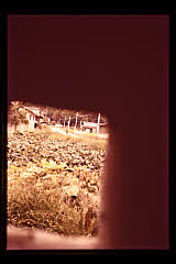 tanSF.D02-09_33()