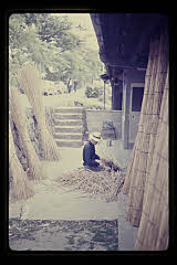 tanSF.D02-10_18()