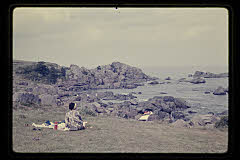 tanSF.D02-11_11()
