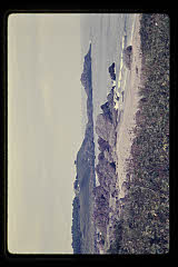 tanSF.D02-11_17()