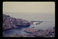 tanSF.D02-11_23()