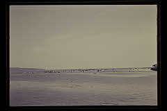 tanSF.D02-13_05()