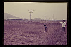 tanSF.D02-14_02()