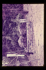 tanSF.D02-14_06()