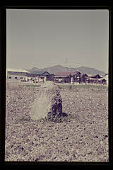tanSF.D02-14_09()