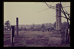 tanSF.D02-14_19()