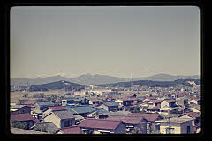 tanSF.D02-15_13()