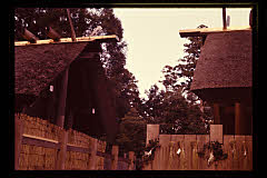 tanSF.D02-18_24()