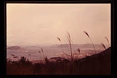 tanSF.D02-18_34()