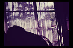 tanSF.D02-20_01()