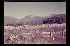 tanSF.D02-20_08()