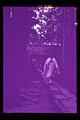 tanSF.D02-20_21()