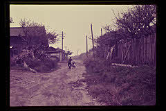tanSF.D02-20_33()