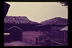 tanSF.D02-20_35()