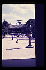 tanSF.D03-02_05()