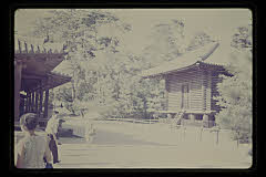 tanSF.D03-02_06()