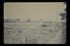 tanSF.D03-02_07()