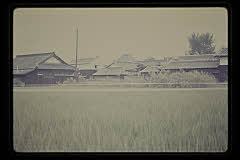 tanSF.D03-02_08()