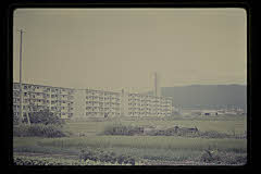 tanSF.D03-02_14()