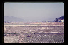 tanSF.D03-03_20()