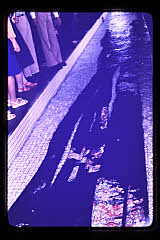 tanSF.D03-07_04()
