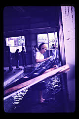 tanSF.D03-07_06()