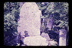 tanSF.D03-07_23()