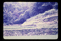 tanSF.D03-07_33()