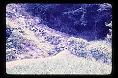 tanSF.D03-07_34()