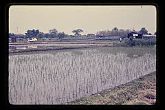 tanSF.D03-09_31()