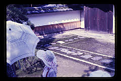 tanSF.D03-11_14()