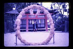 tanSF.D03-13_19()