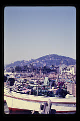 tanSF.D03-13_27()