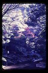 tanSF.D04-01_26()