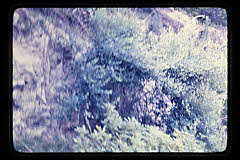 tanSF.D04-06_01()