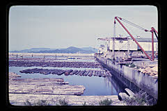 tanSF.D04-06_07()