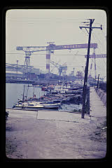 tanSF.D04-06_24()